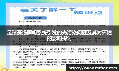 足球赛场照明系统引发的光污染问题及其对环境的影响探讨