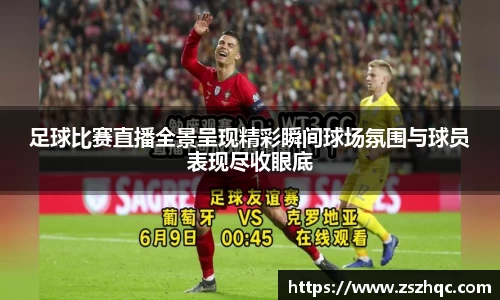 必博BIBO网址