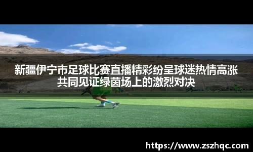 必博BIBO