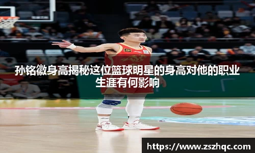 必博BIBO网址