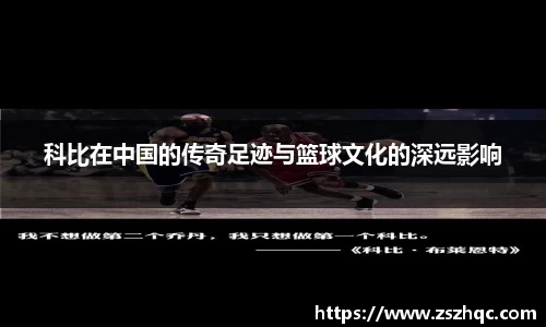 必博BIBO网址